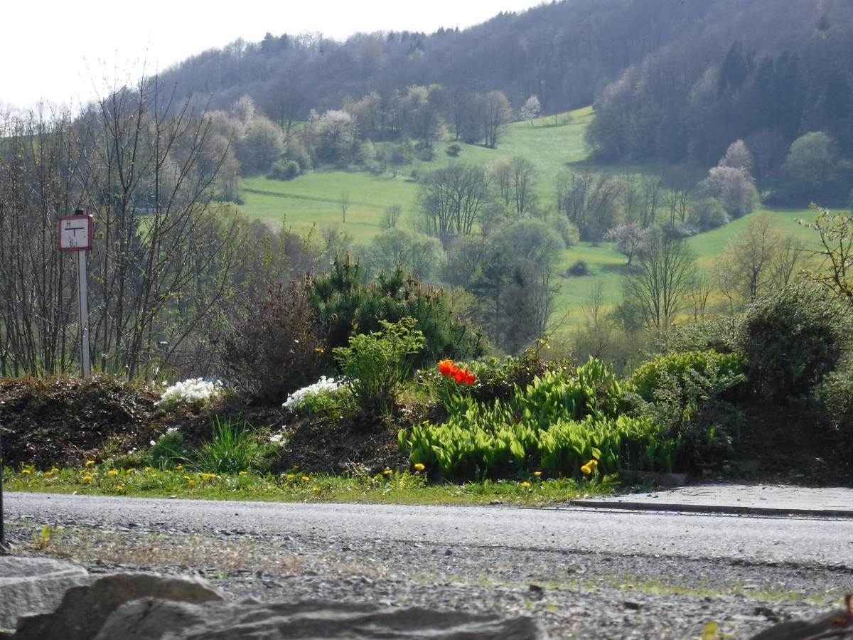 Mondfaenger * Ehrenberg (Hessen)